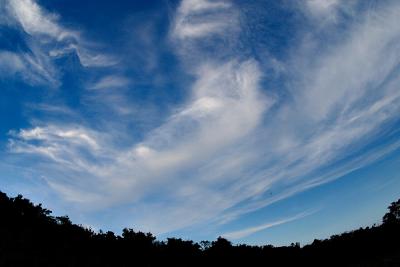 CRW_4743.jpg