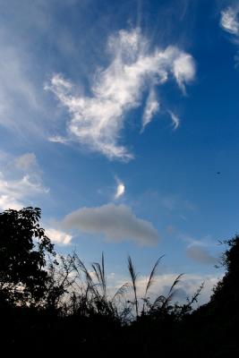 CRW_4744.jpg