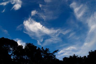 CRW_4745.jpg