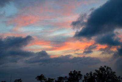 CRW_4784.jpg