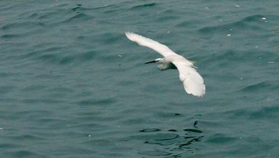 CRW_4503.jpg