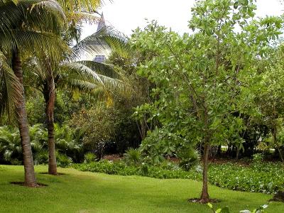 Grounds