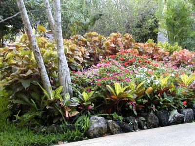 Path Flowers