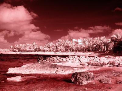 House with Beach