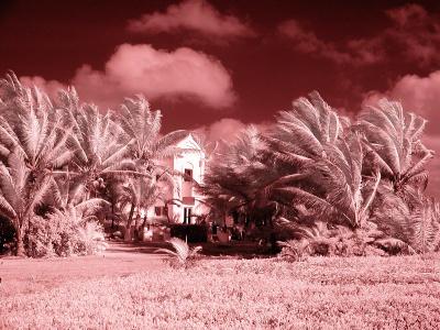 House with Palms Close Up