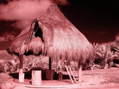 Palapa