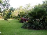 Grounds with Palms