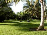 Lawn with Rocks