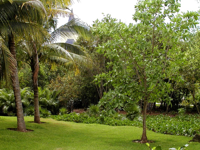 Grounds