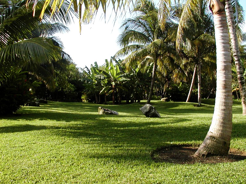 Lawn with Rocks