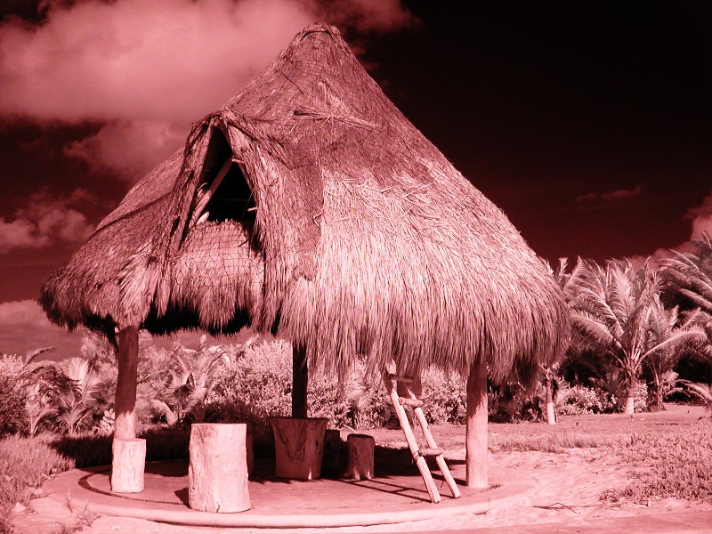Palapa