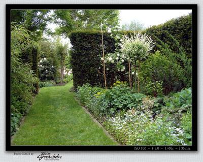 What's behind the hedge?