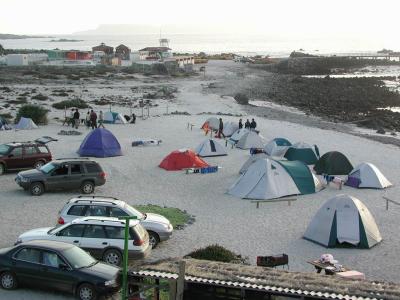 Excursin Punta Choros 2003