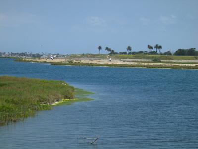  Salty Marsh