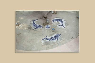 dolphin mosaic