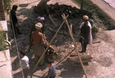 Weighing Wood