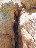 Chuckwalla