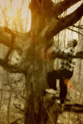 Richard in tree