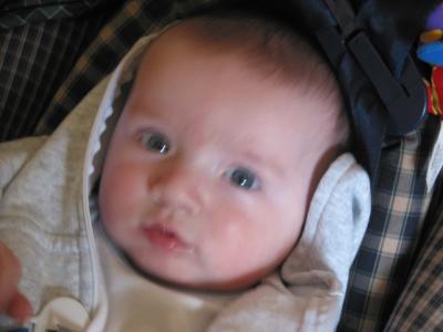 IMG_5252.jpg