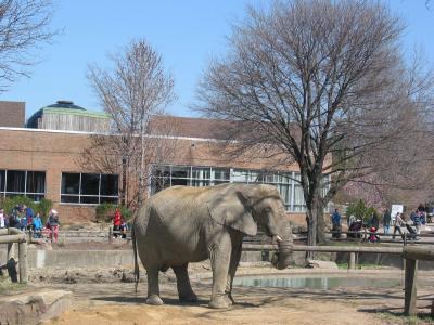 Cleveland Metroparks Zoo