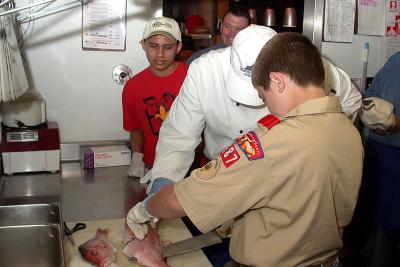 Rockfish 05.jpg