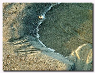 Myrtle Beach Sand
