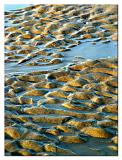 Myrtle Beach Ripples