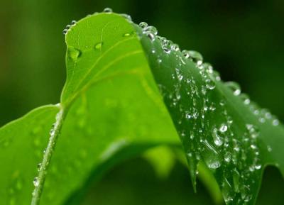 u27/rsweatt/medium/15937729.after_rain_pbase010.jpg