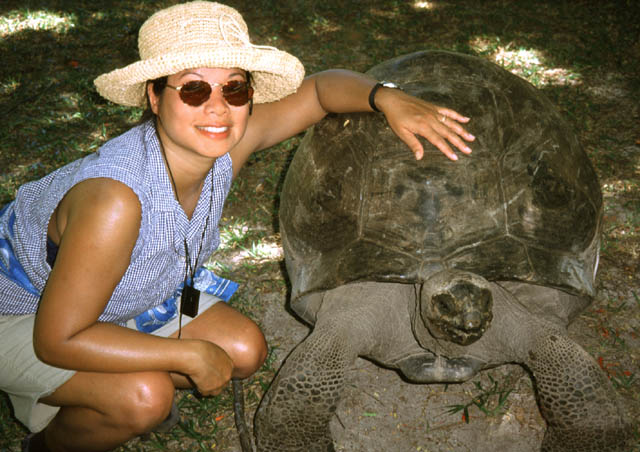 Tortoise + Mel