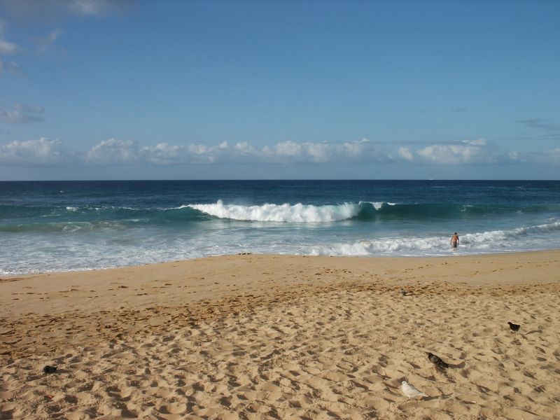 Sandy Beach Waves