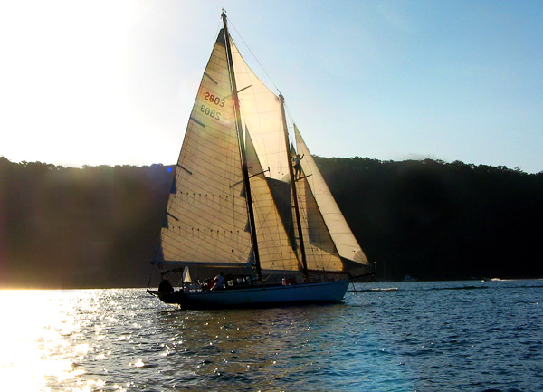 Gaffer on Pittwater