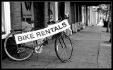 Bike Rentals