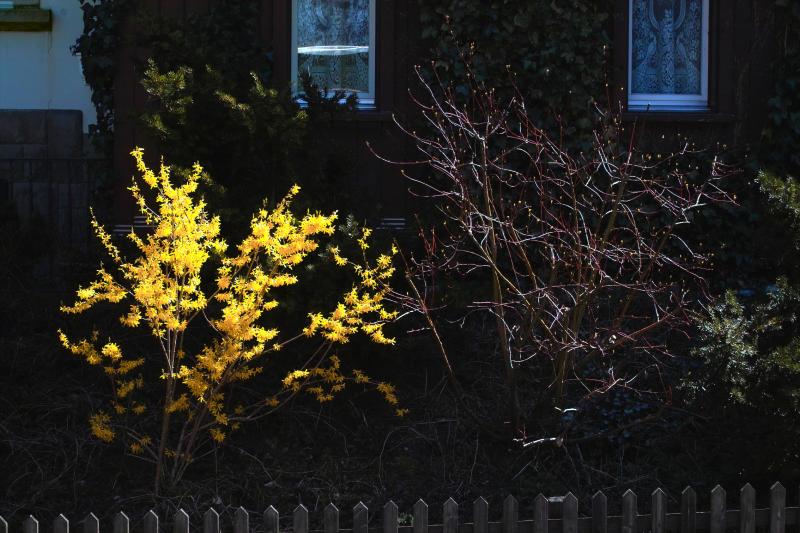 The Promise and Fulfillment of Spring - Laurence Matson