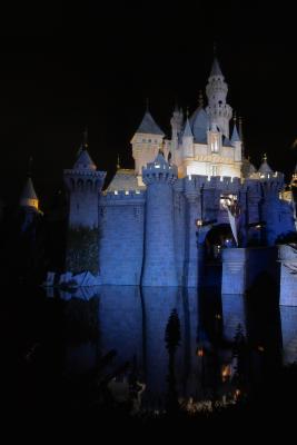 Sleeping Beauty's Castle by Night