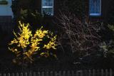 The Promise and Fulfillment of Spring - Laurence Matson