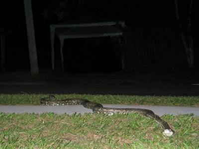 IMG_6824.jpg