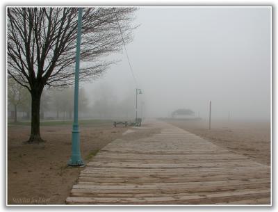 Boardwalk in the Fog