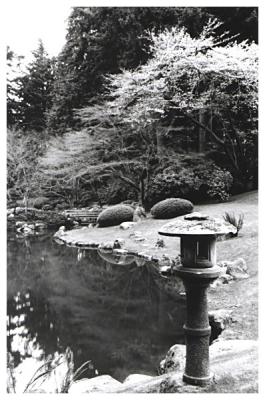 Nitobe Garden Pond (B&W)