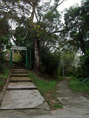 Fong Yuen School 1芳園學校