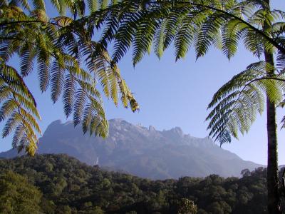 Mount. Kinabalu.JPG