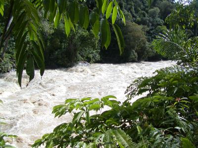 Batang Rejang- Rapids.JPG