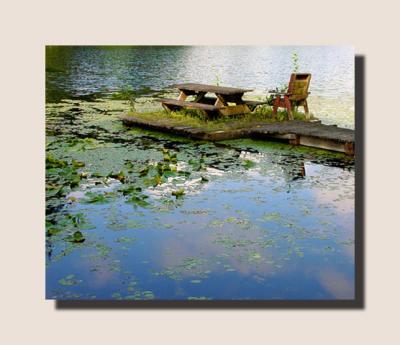 u27/squireland/medium/16328213.ReflectionsOnASummerDay.jpg