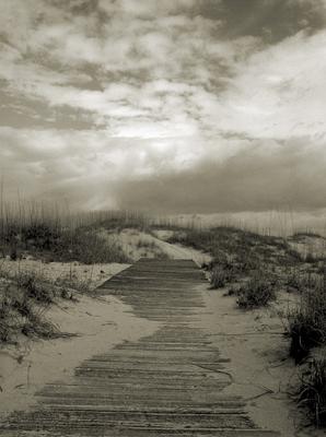 walkdunesepia.jpg