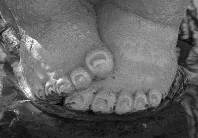 feet1.jpg