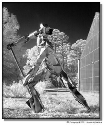 worker1ir.jpg