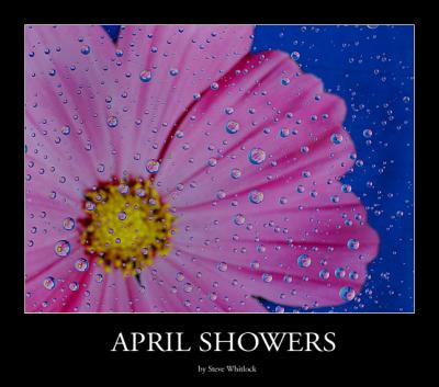 aprilshowers.jpg