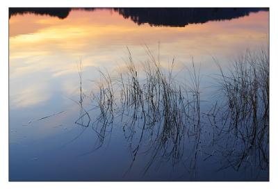 Reflects