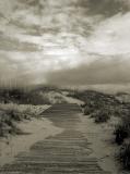 walkdunesepia.jpg