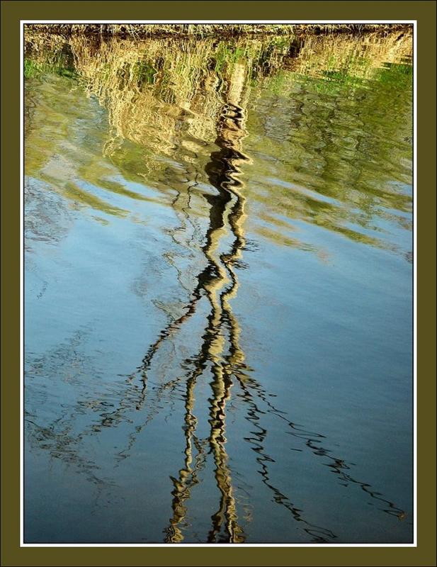 <B>Rippled Reflection</b><br><font size=1>by Bev Brink</font>