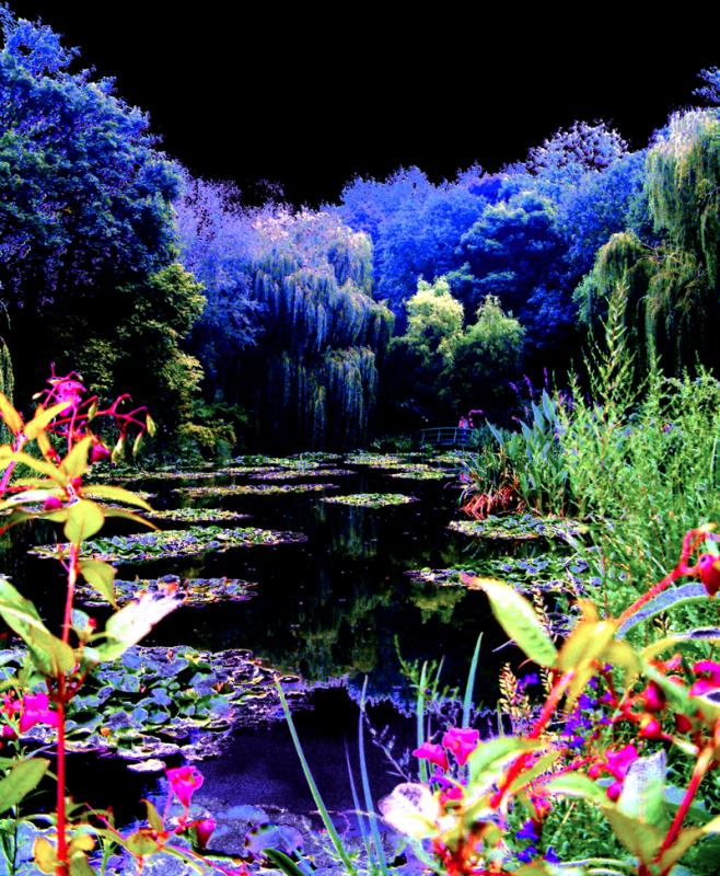 <b>In Search of Monet</b><br><font size = 1>eric